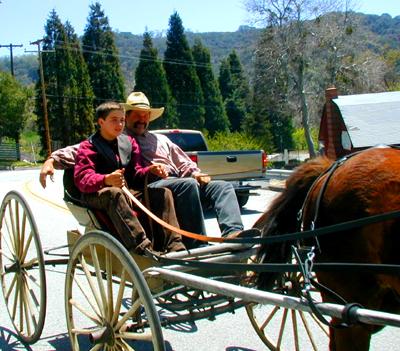 Being passed by a carriage