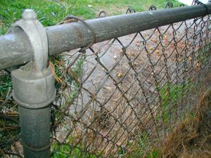 Chain Link Fence