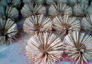 Incense Drying